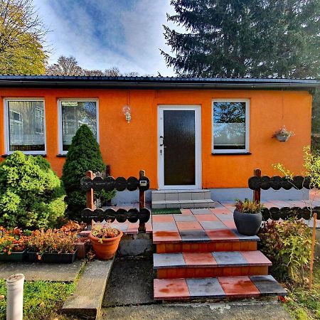 Ferienhaus Petra Elbingerode  Exterior foto